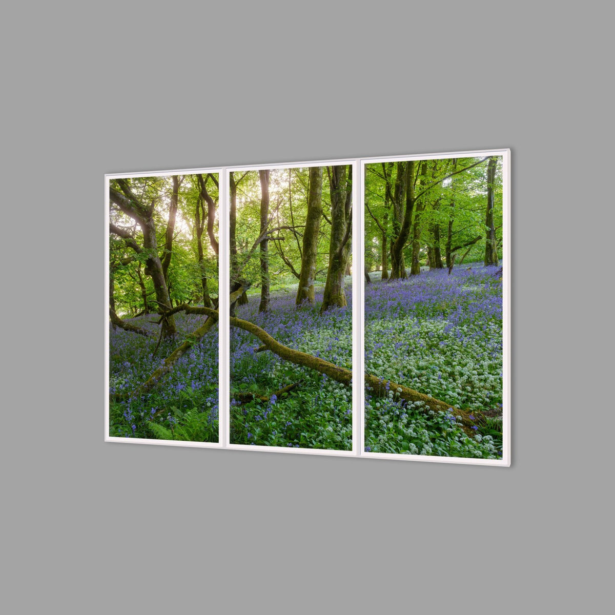 LED-Wandbild Dreiteiler hochkant 180x120 cm – Wald