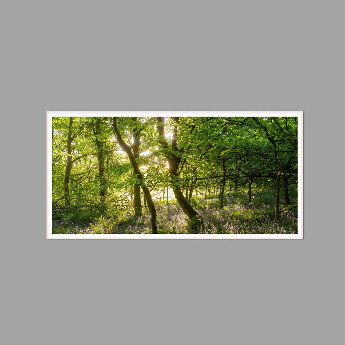LED-Wandbild 60x120 cm quer – Wald