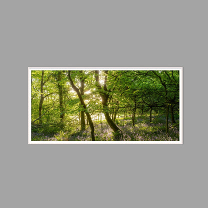 LED-Wandbild 60x120 cm quer – Wald
