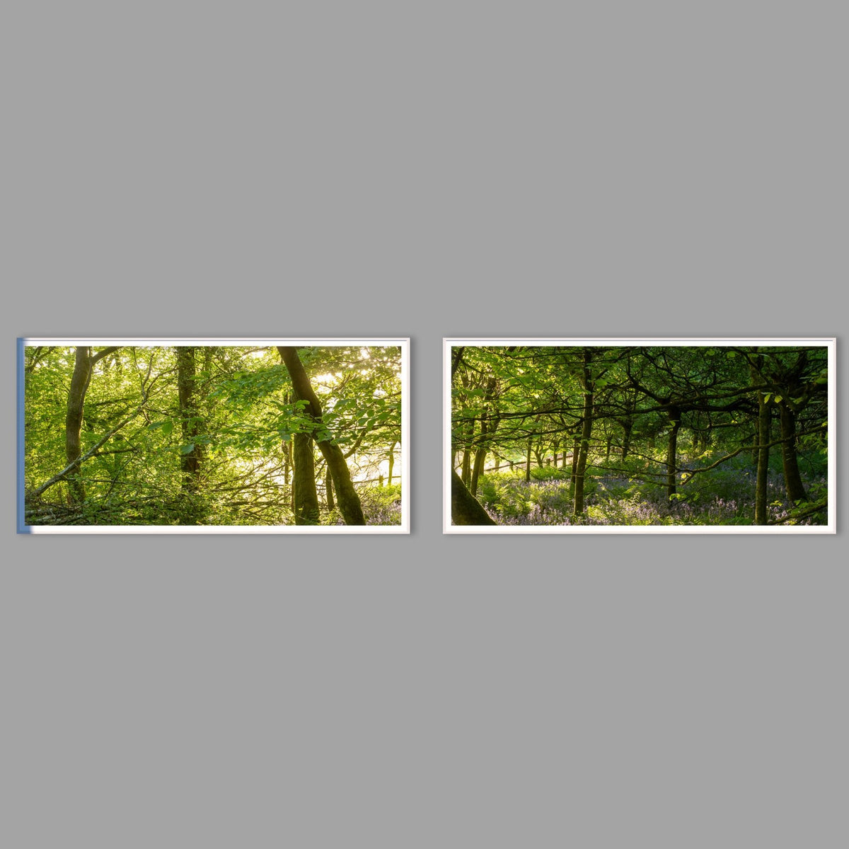LED-Wandbild Zweiteiler quer mit Abstand – Wald