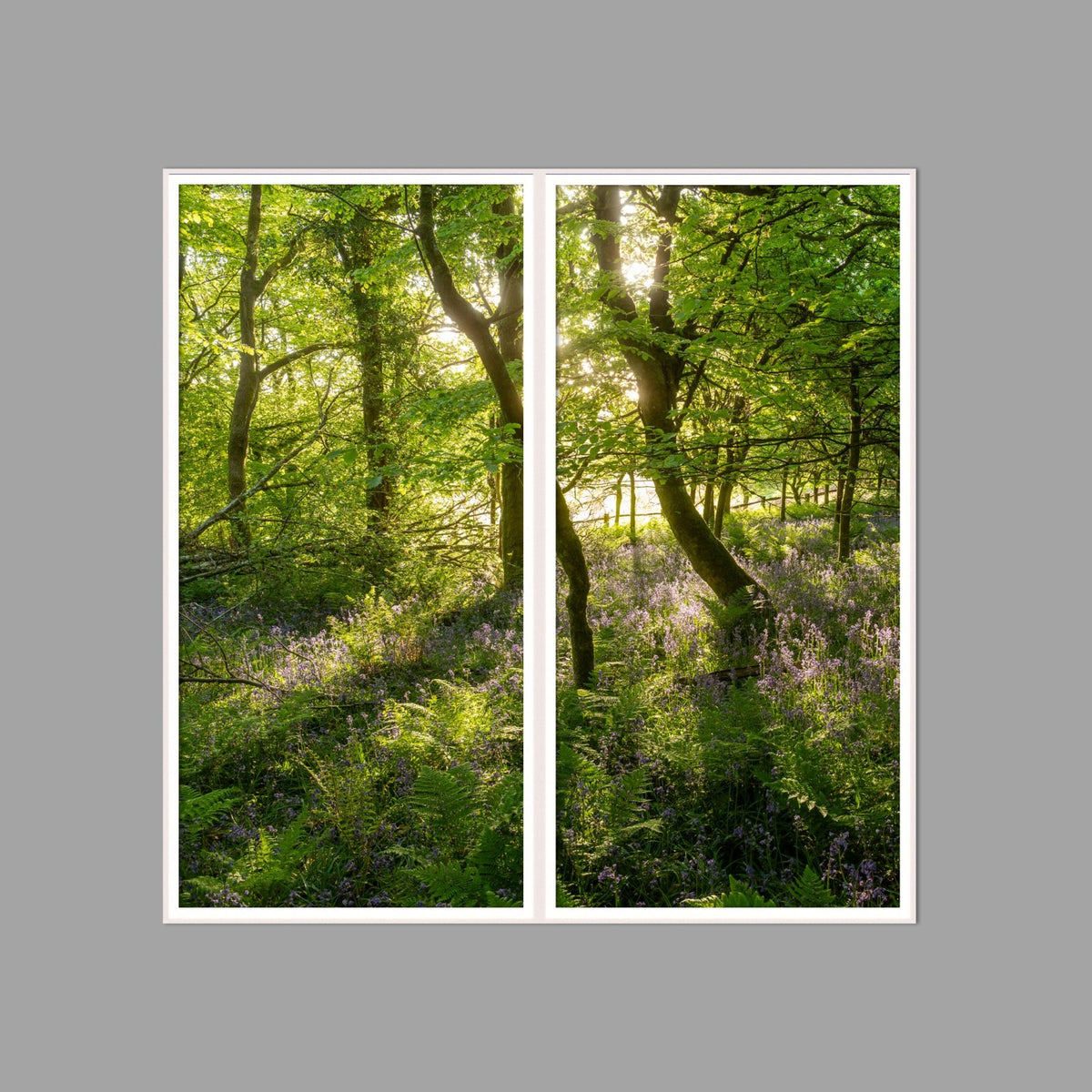 LED-Wandbild Zweiteiler hochkant 120x120 cm – Wald