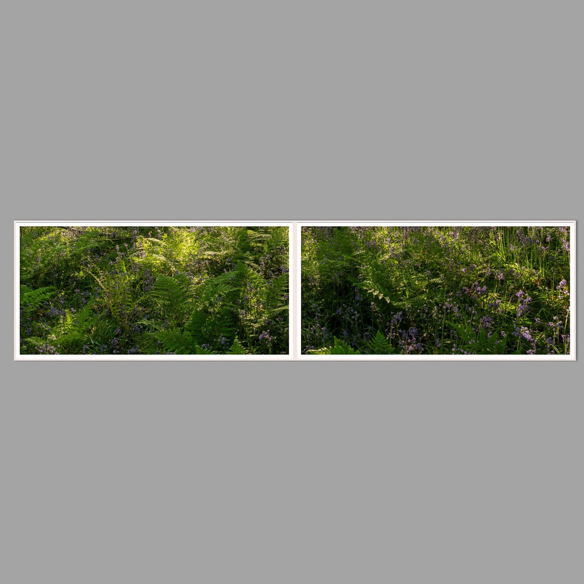 LED-Wandbild Zweiteiler quer 240x60 cm – Wald