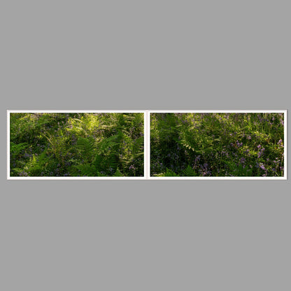 LED-Wandbild Zweiteiler quer 240x60 cm – Wald