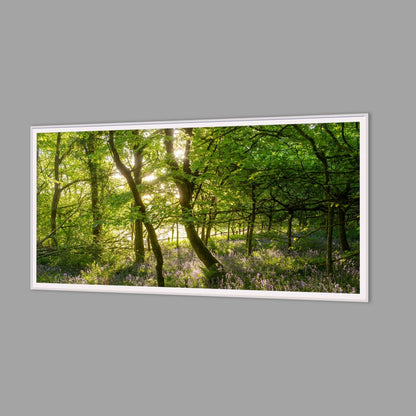 LED-Wandbild 60x120 cm quer – Wald