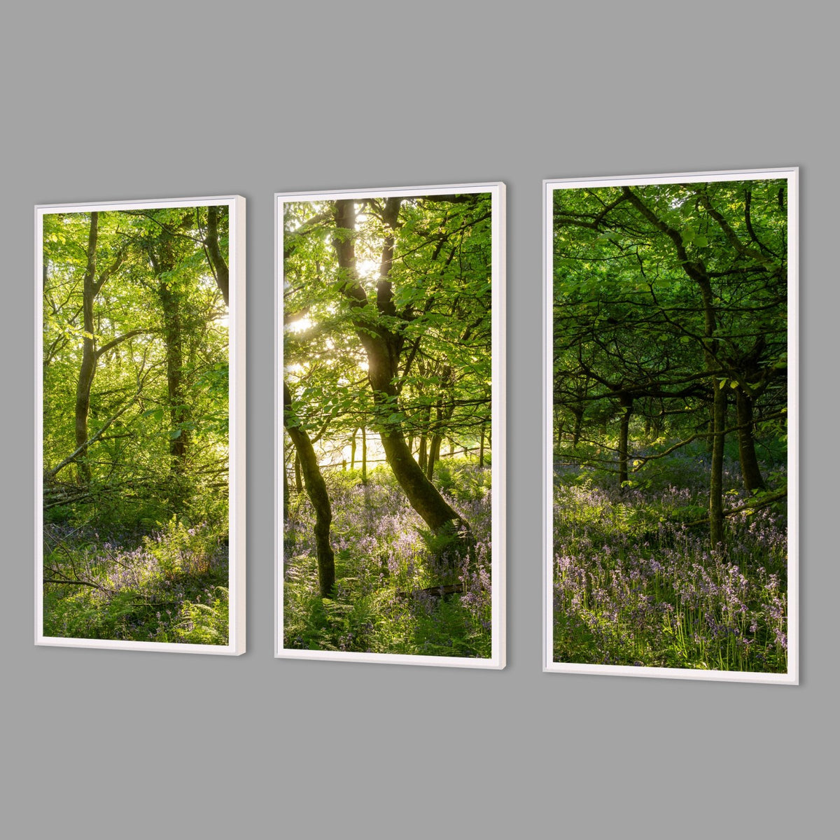 LED-Wandbild Dreiteiler hochkant mit Abstand – Wald