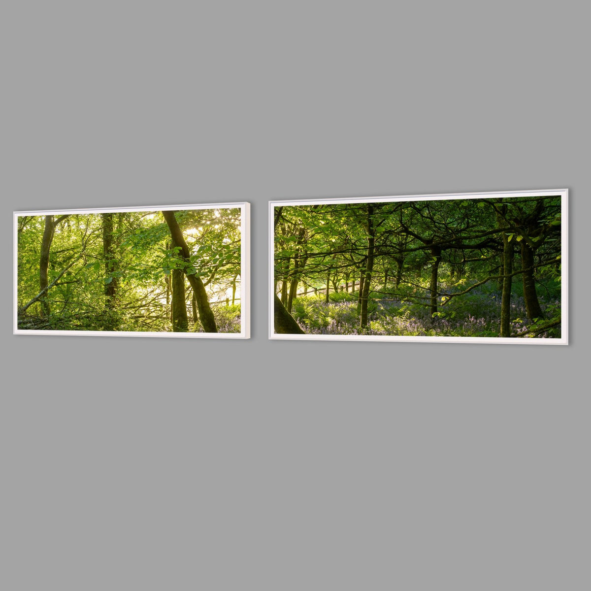 LED-Wandbild Zweiteiler quer mit Abstand – Wald