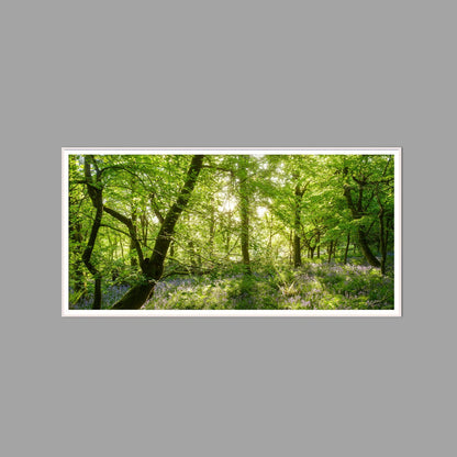 LED-Wandbild 60x120 cm quer – Wald