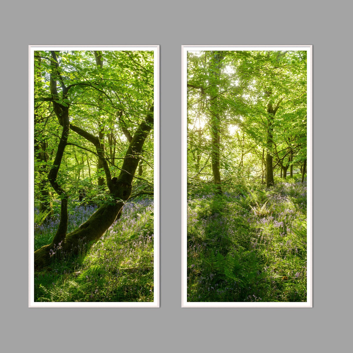 LED-Wandbild Zweiteiler hochkant mit Abstand – Wald