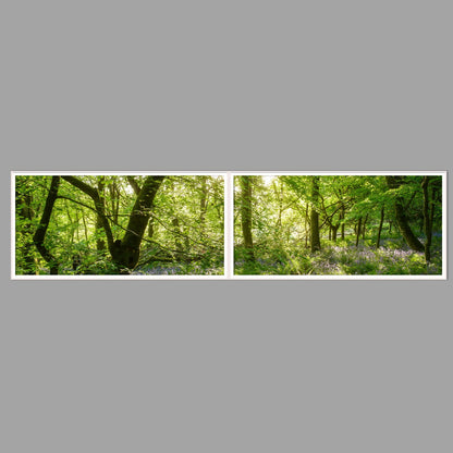 LED-Wandbild Zweiteiler quer 240x60 cm – Wald