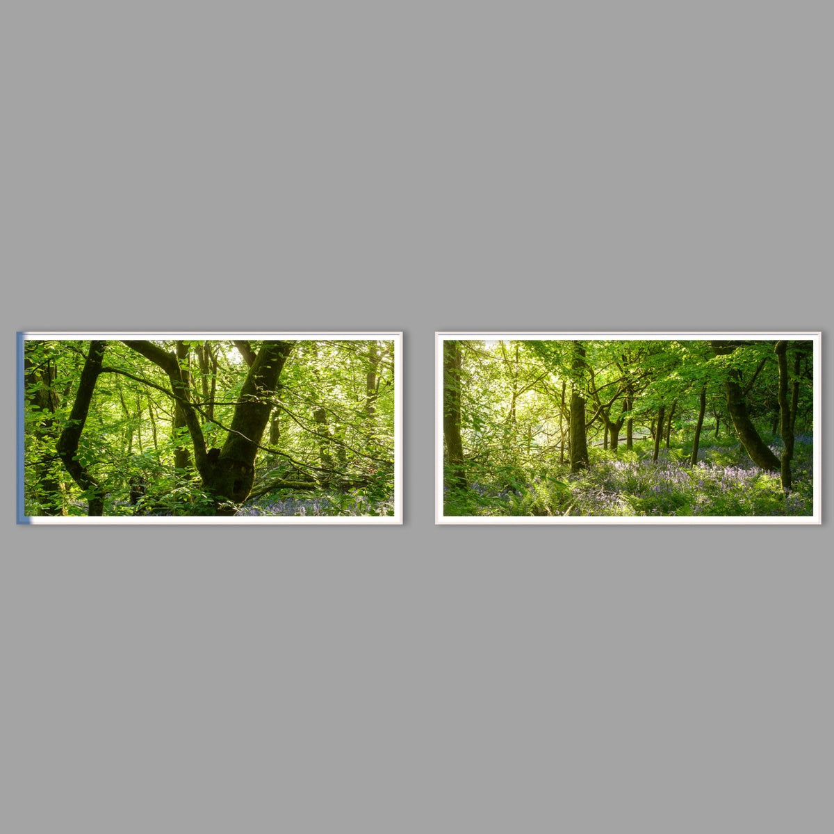 LED-Wandbild Zweiteiler quer mit Abstand – Wald