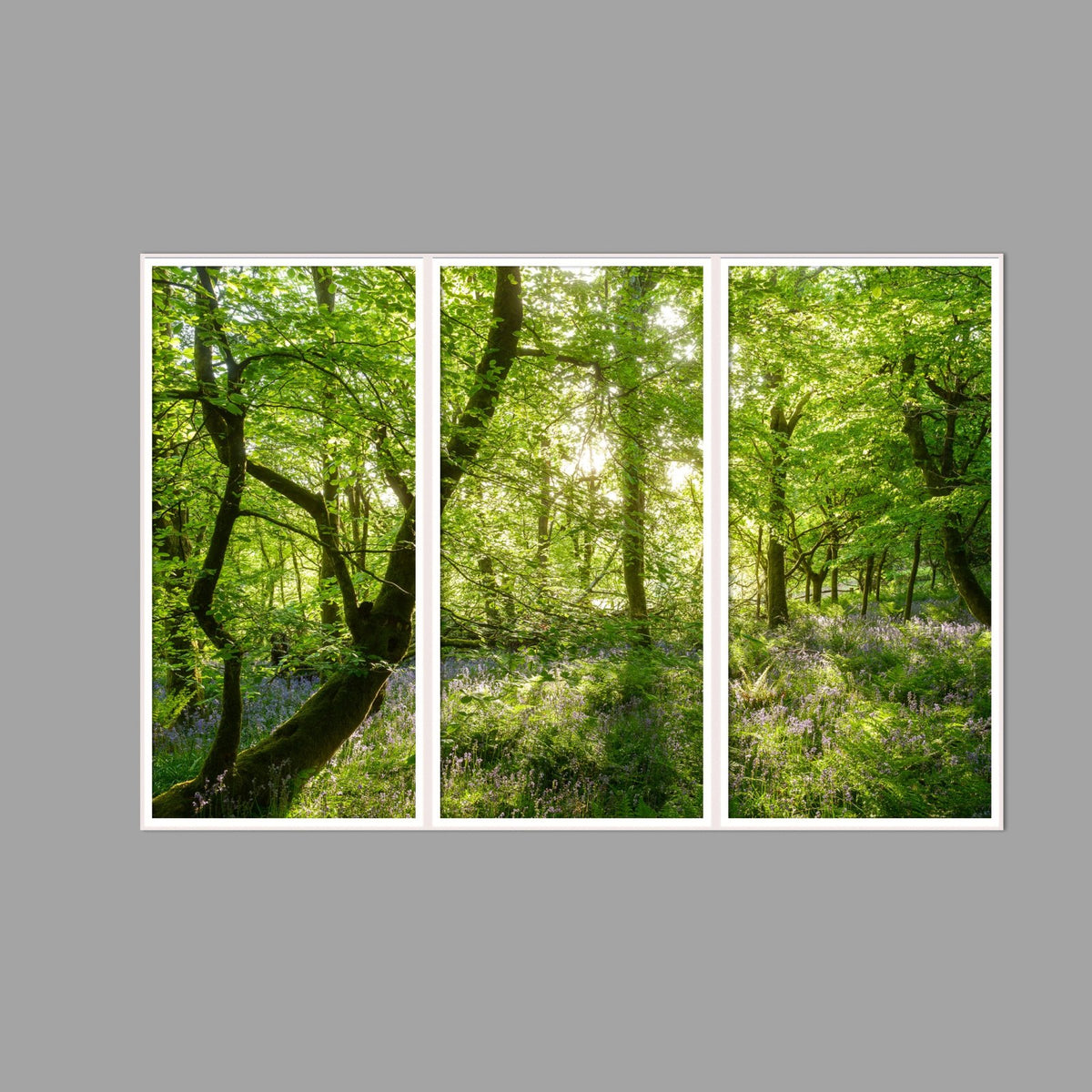 LED-Wandbild Dreiteiler hochkant 180x120 cm – Wald
