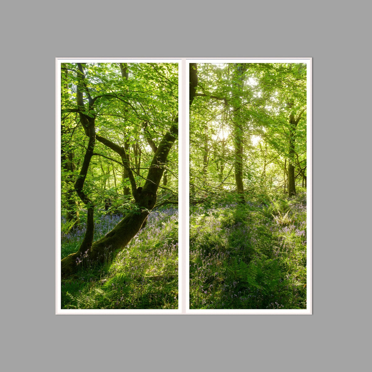 LED-Wandbild Zweiteiler hochkant 120x120 cm – Wald