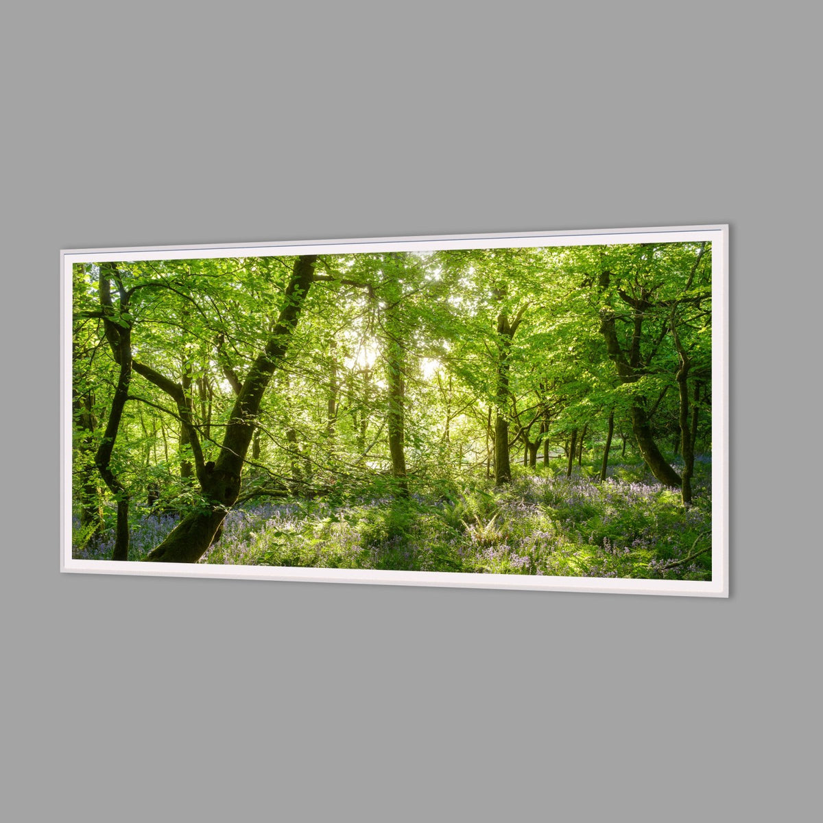 LED-Wandbild 60x120 cm quer – Wald