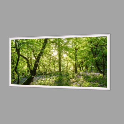 LED-Wandbild 60x120 cm quer – Wald