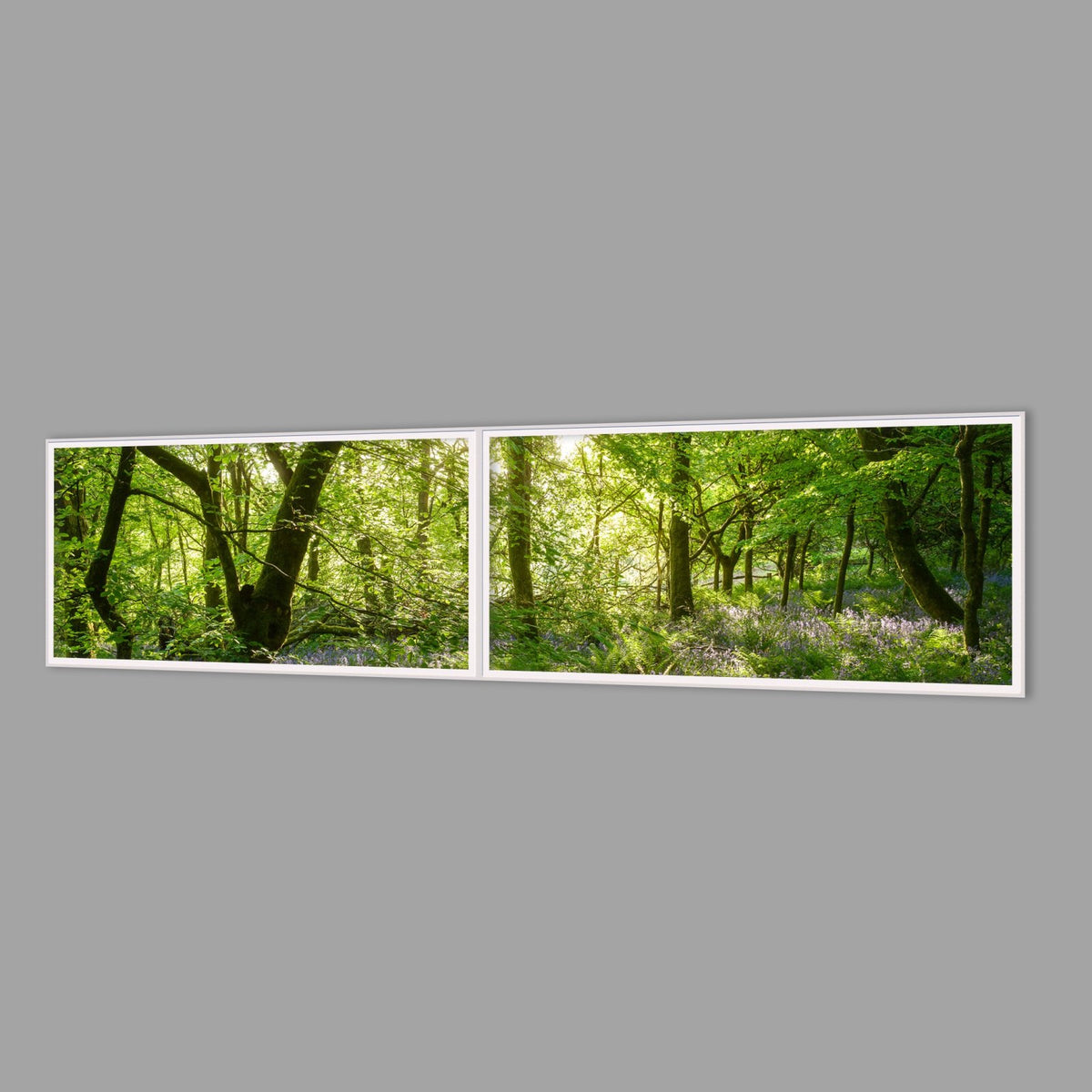 LED-Wandbild Zweiteiler quer 240x60 cm – Wald