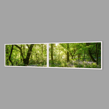 LED-Wandbild Zweiteiler quer 240x60 cm – Wald