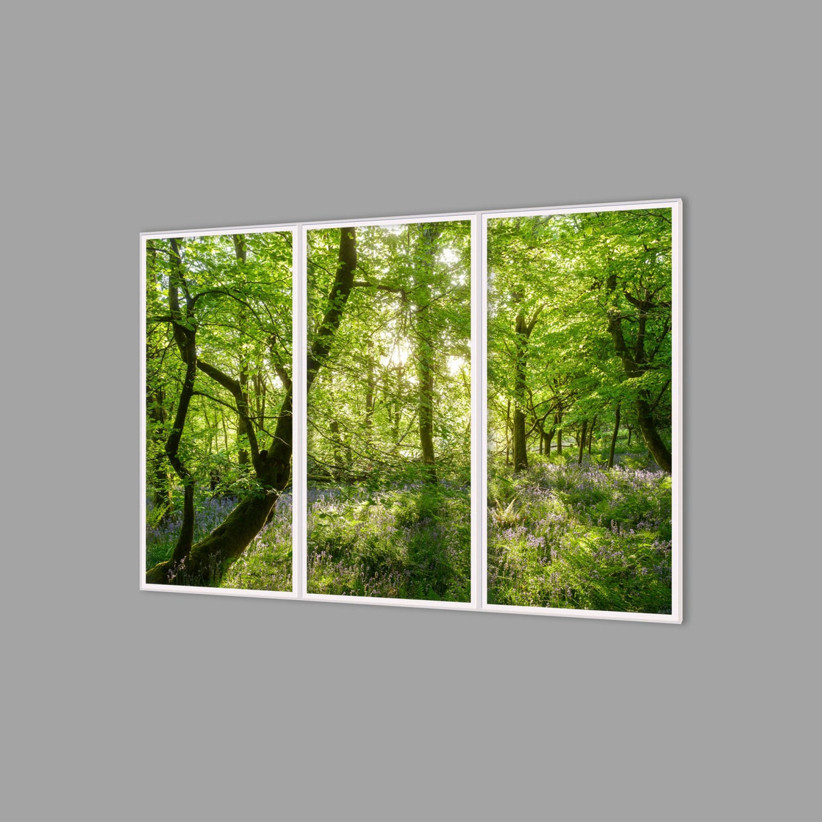LED-Wandbild Dreiteiler hochkant 180x120 cm – Wald
