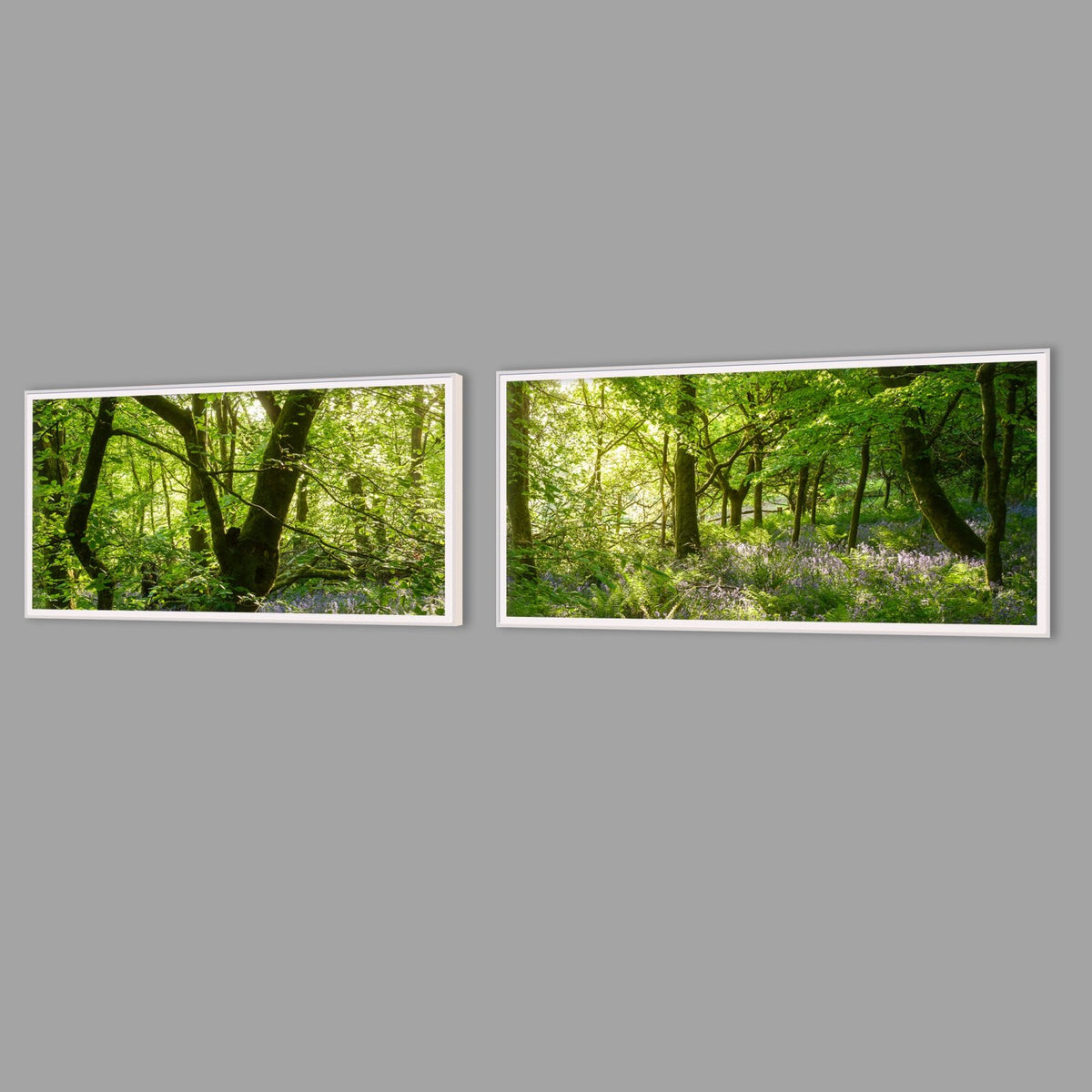 LED-Wandbild Zweiteiler quer mit Abstand – Wald