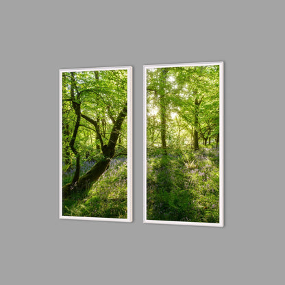 LED-Wandbild Zweiteiler hochkant mit Abstand – Wald