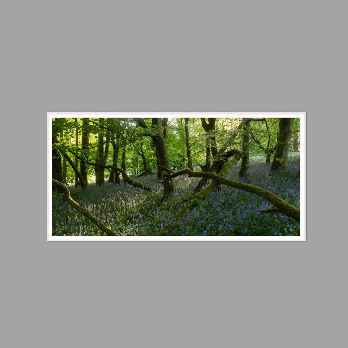 LED-Wandbild 60x120 cm quer – Wald