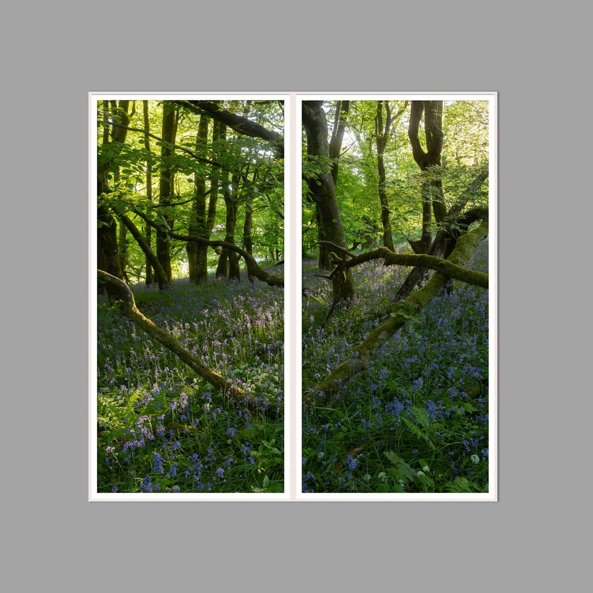 LED-Wandbild Zweiteiler hochkant 120x120 cm – Wald