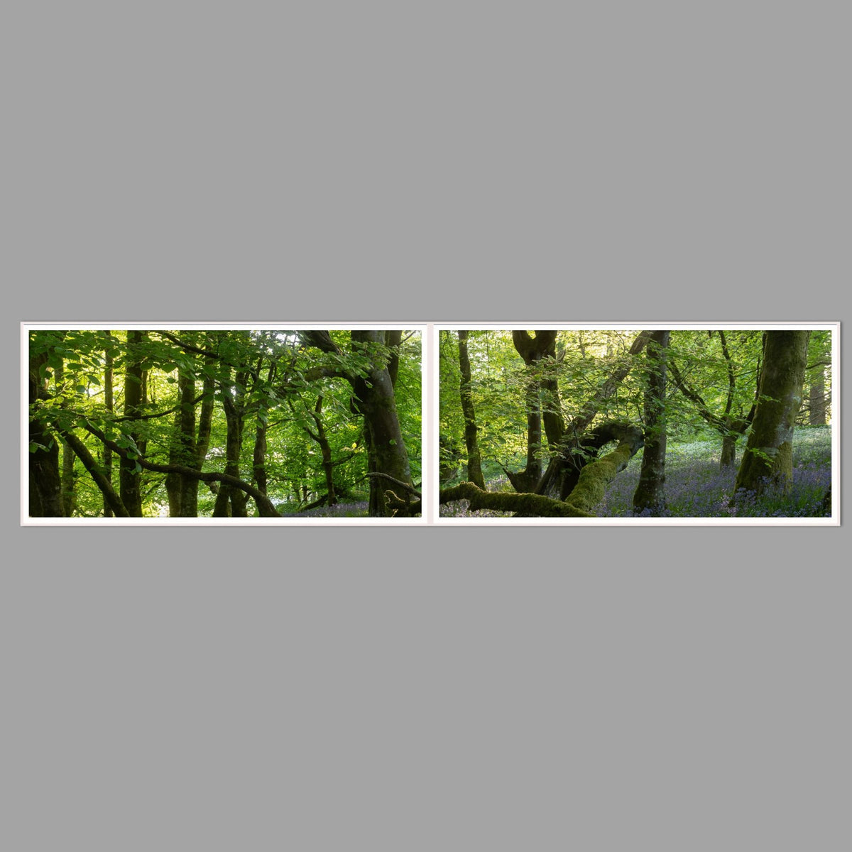 LED-Wandbild Zweiteiler quer 240x60 cm – Wald
