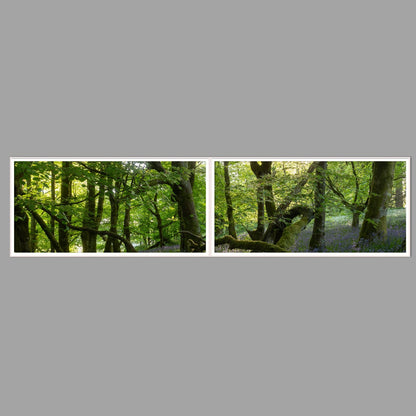 LED-Wandbild Zweiteiler quer 240x60 cm – Wald