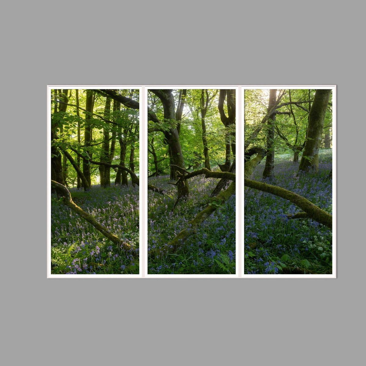 LED-Wandbild Dreiteiler hochkant 180x120 cm – Wald