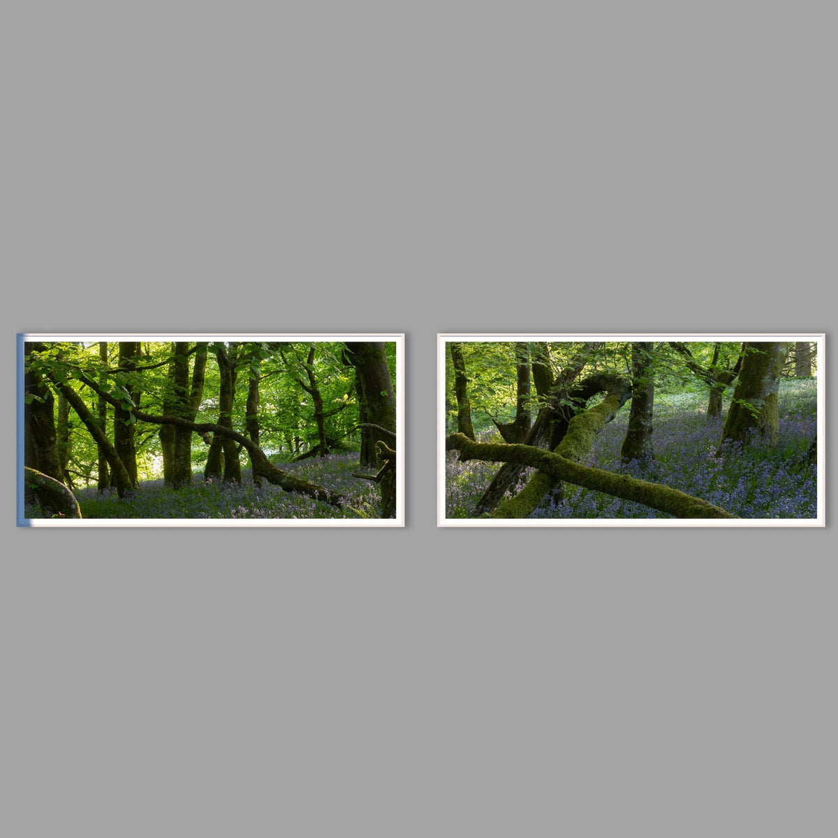 LED-Wandbild Zweiteiler quer mit Abstand – Wald