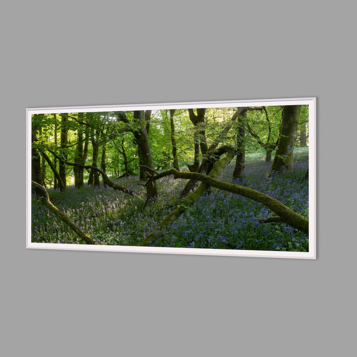 LED-Wandbild 60x120 cm quer – Wald