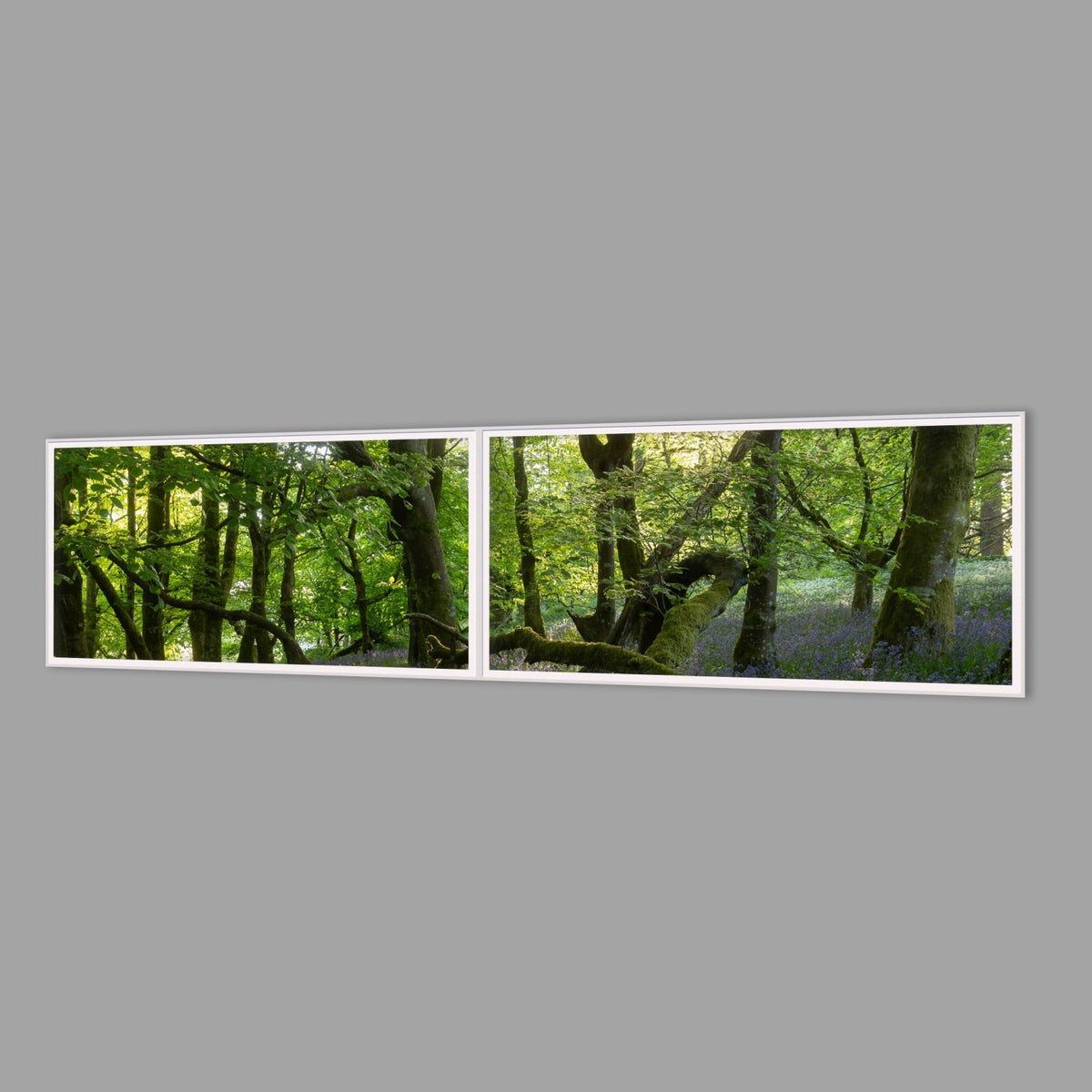 LED-Wandbild Zweiteiler quer 240x60 cm – Wald
