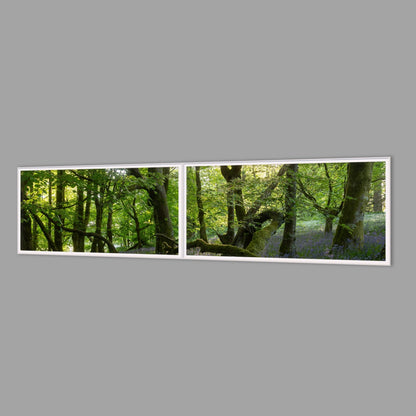 LED-Wandbild Zweiteiler quer 240x60 cm – Wald