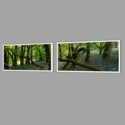 LED-Wandbild Zweiteiler quer mit Abstand – Wald