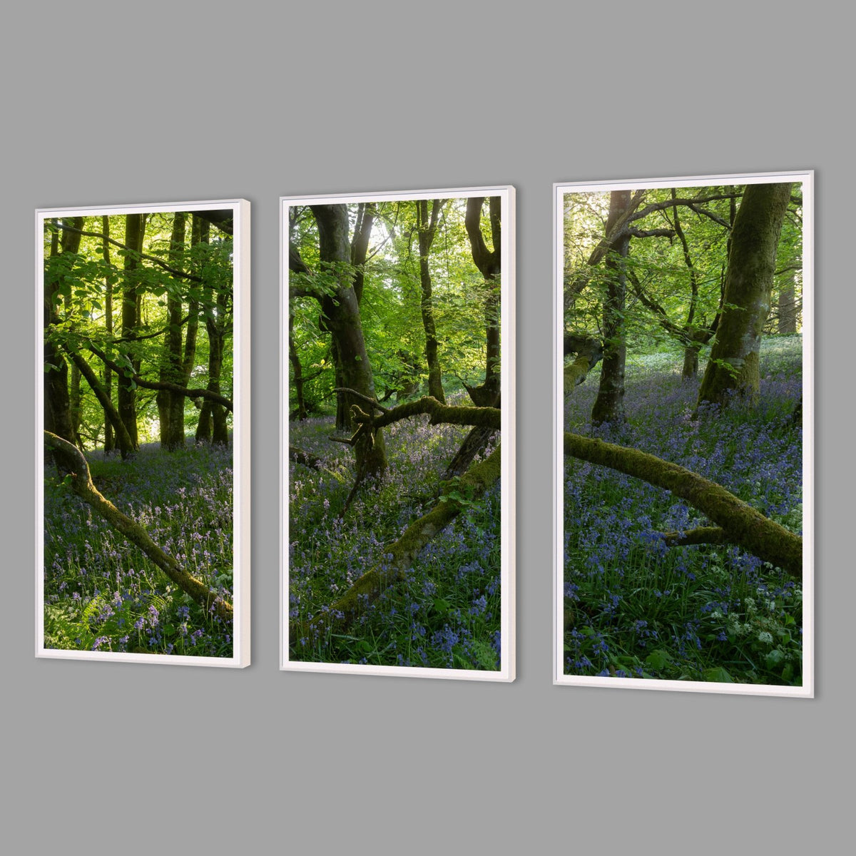 LED-Wandbild Dreiteiler hochkant mit Abstand – Wald