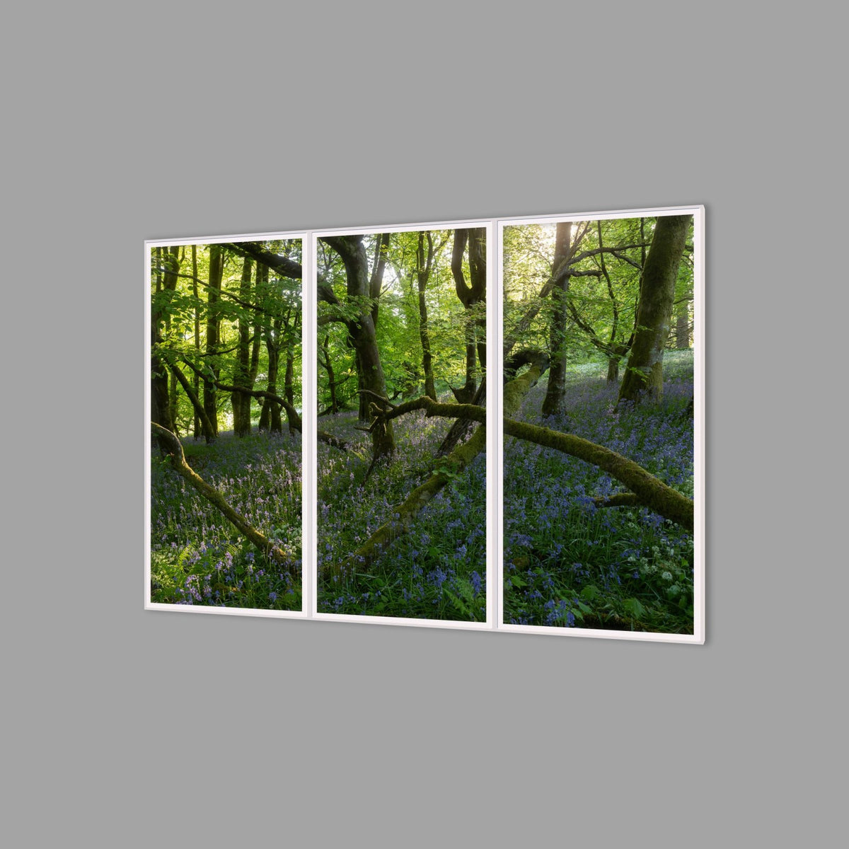 LED-Wandbild Dreiteiler hochkant 180x120 cm – Wald