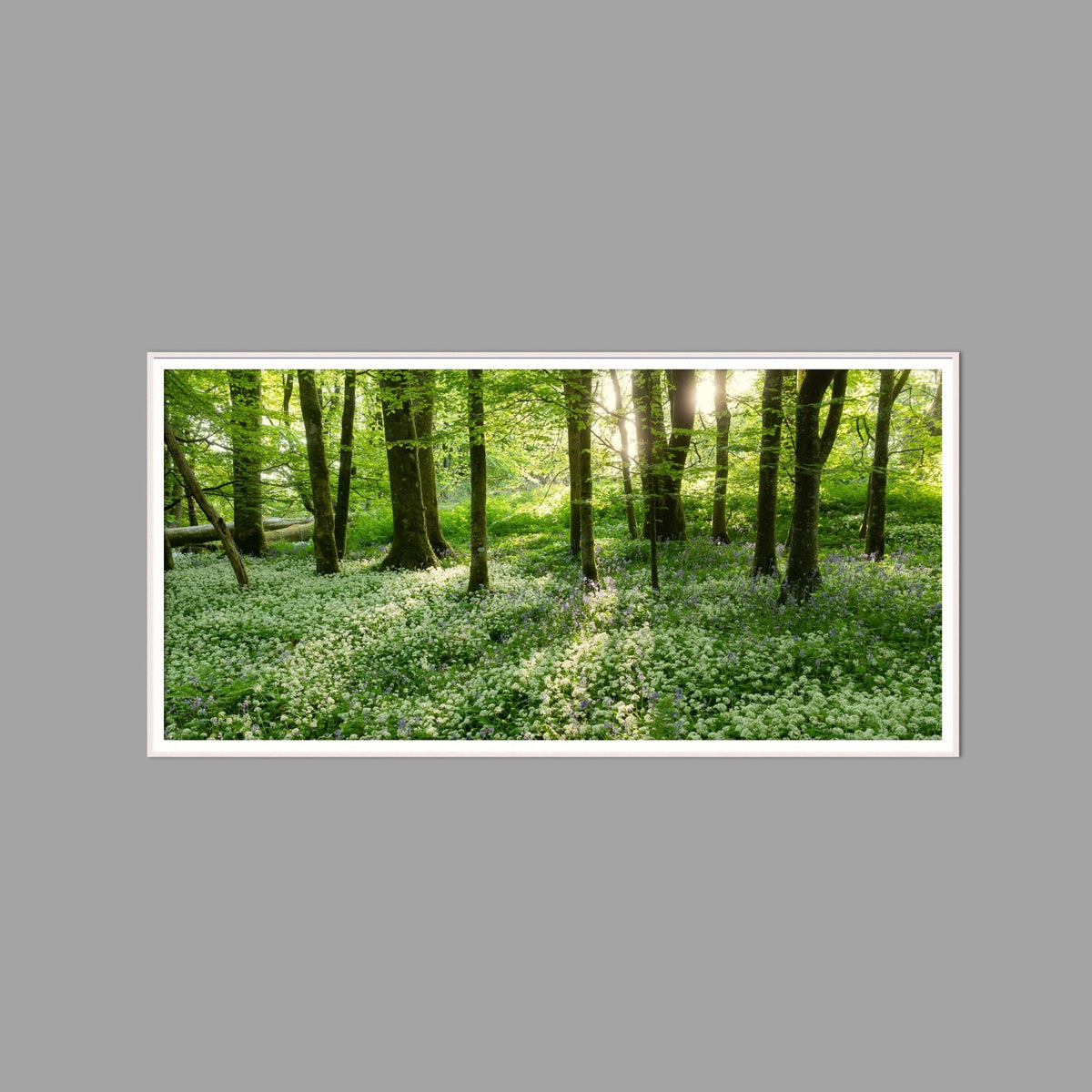 LED-Wandbild 60x120 cm quer – Wald