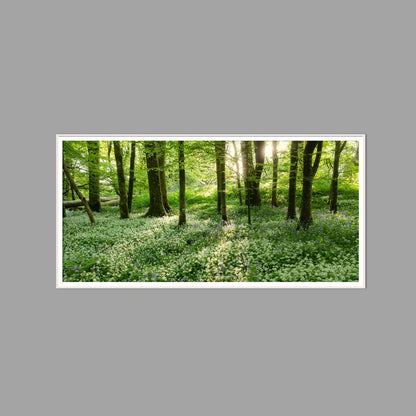 LED-Wandbild 60x120 cm quer – Wald
