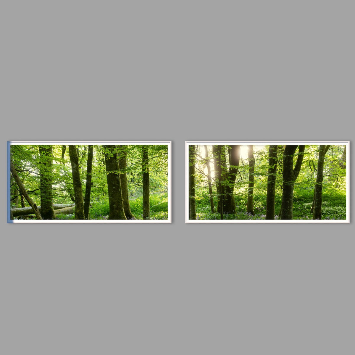 LED-Wandbild Zweiteiler quer mit Abstand – Wald