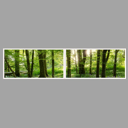 LED-Wandbild Zweiteiler quer 240x60 cm – Wald