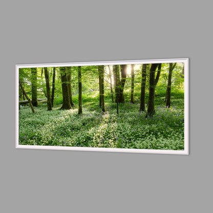LED-Wandbild 60x120 cm quer – Wald