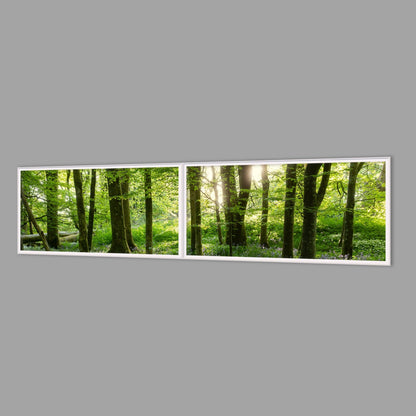 LED-Wandbild Zweiteiler quer 240x60 cm – Wald