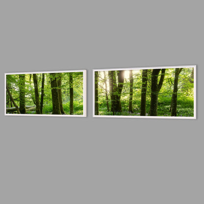 LED-Wandbild Zweiteiler quer mit Abstand – Wald