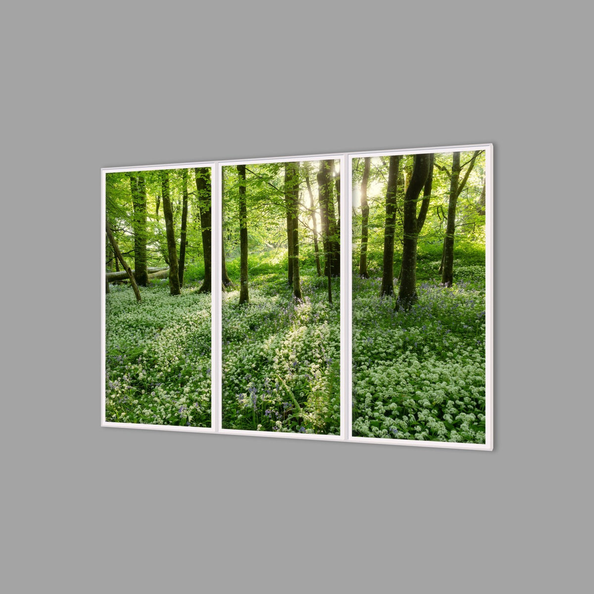 LED-Wandbild Dreiteiler hochkant 180x120 cm – Wald