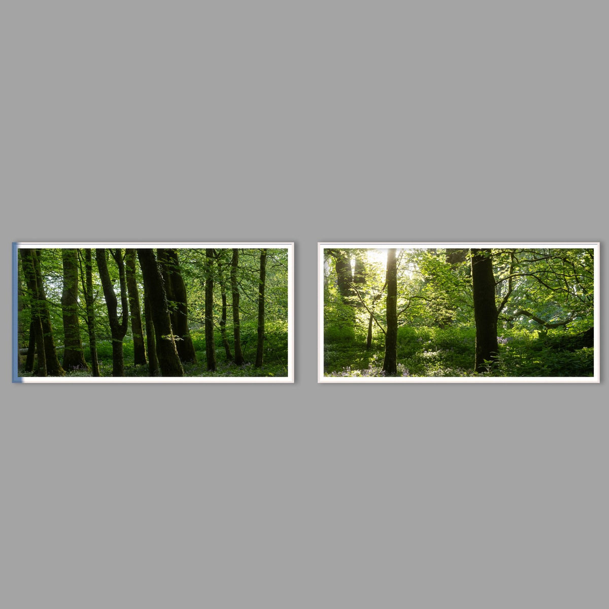 LED-Wandbild Zweiteiler quer mit Abstand – Wald