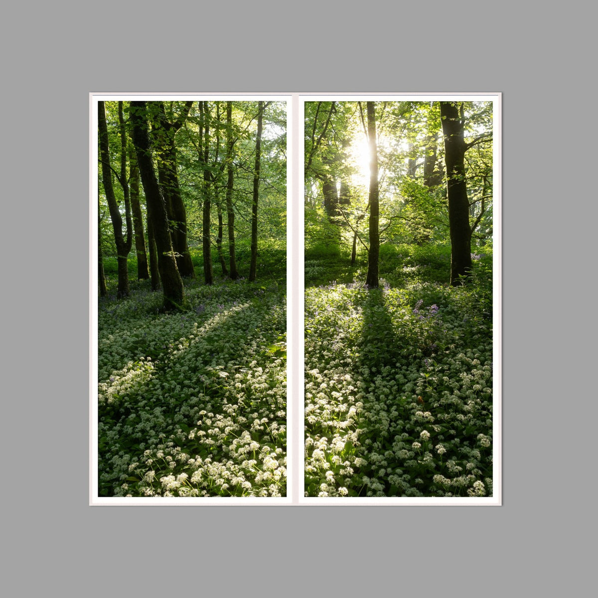 LED-Wandbild Zweiteiler hochkant 120x120 cm – Wald