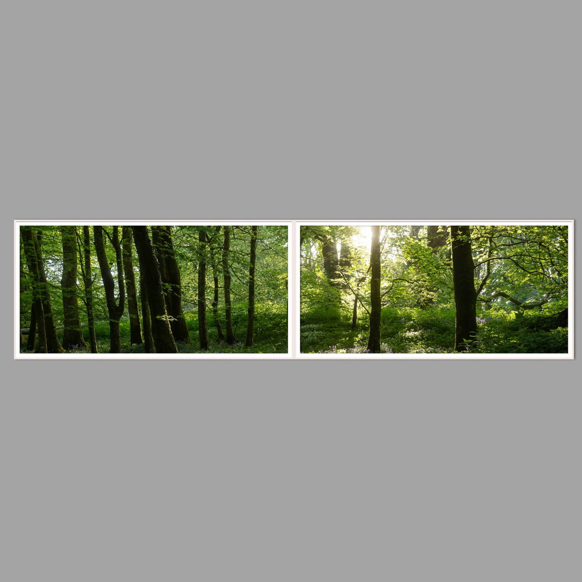 LED-Wandbild Zweiteiler quer 240x60 cm – Wald