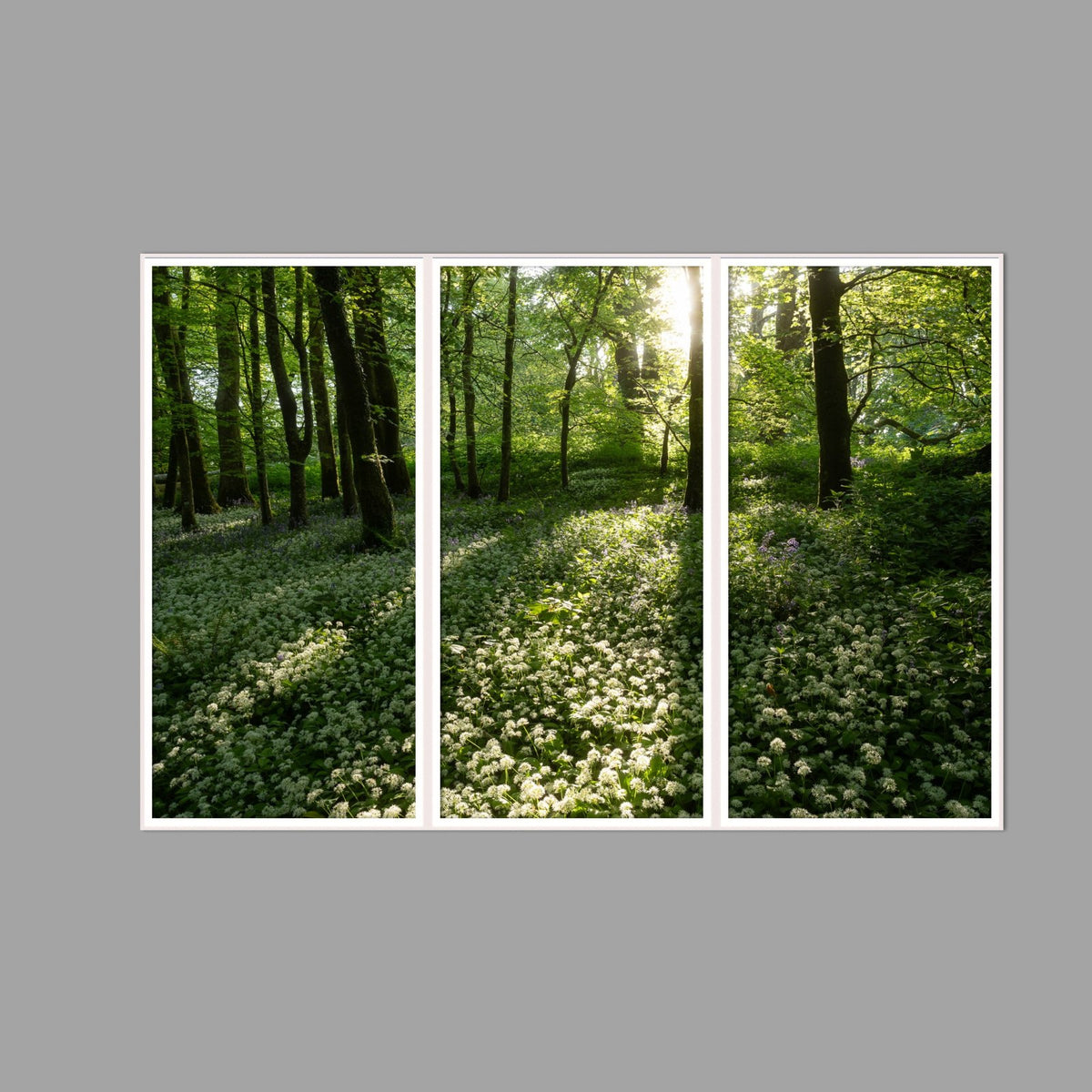 LED-Wandbild Dreiteiler hochkant 180x120 cm – Wald