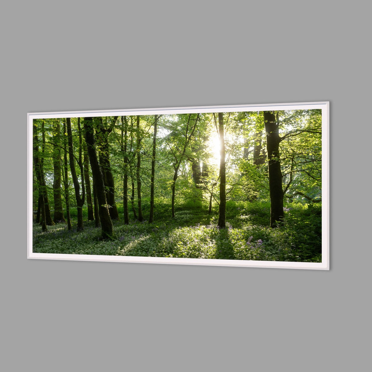 LED-Wandbild 60x120 cm quer – Wald