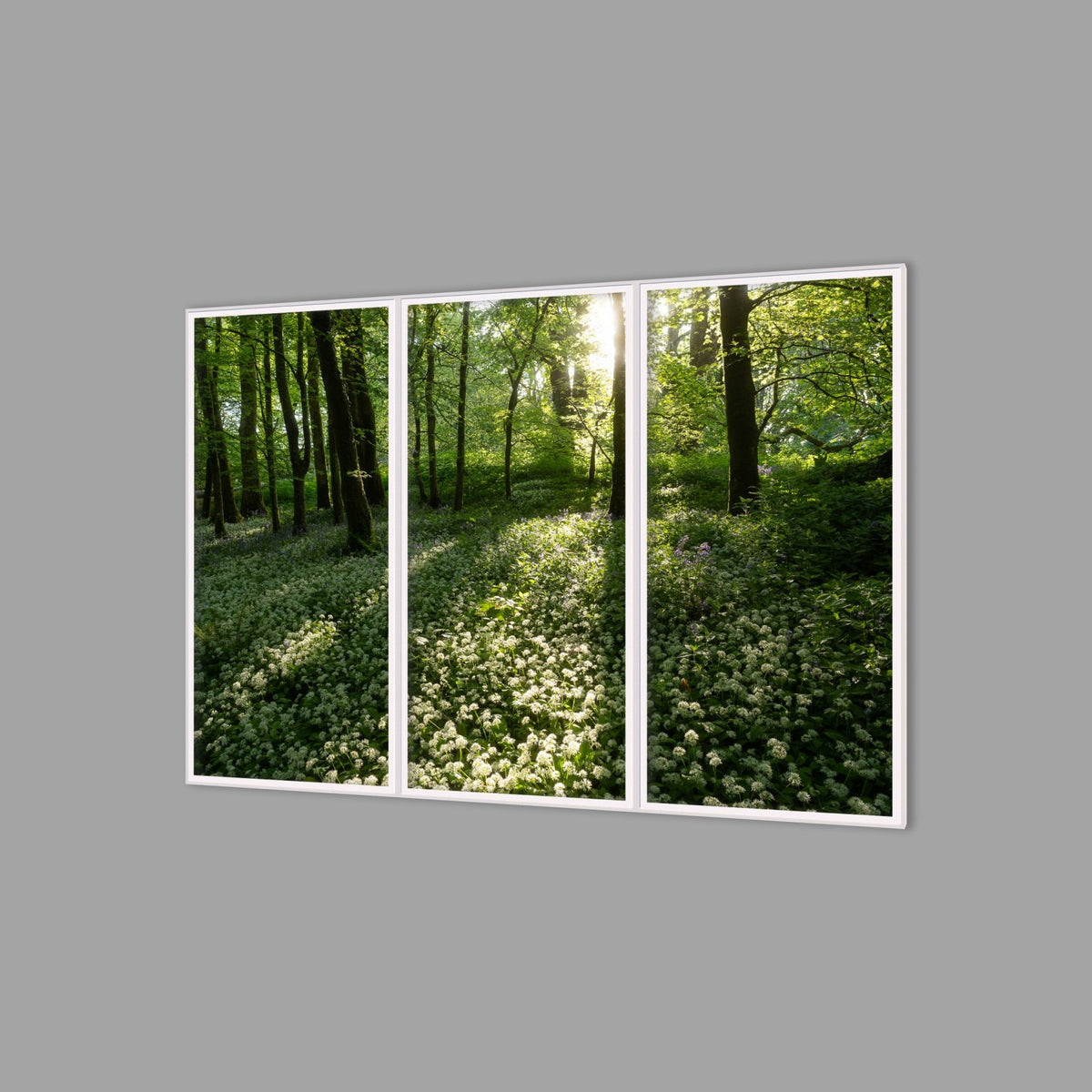 LED-Wandbild Dreiteiler hochkant 180x120 cm – Wald
