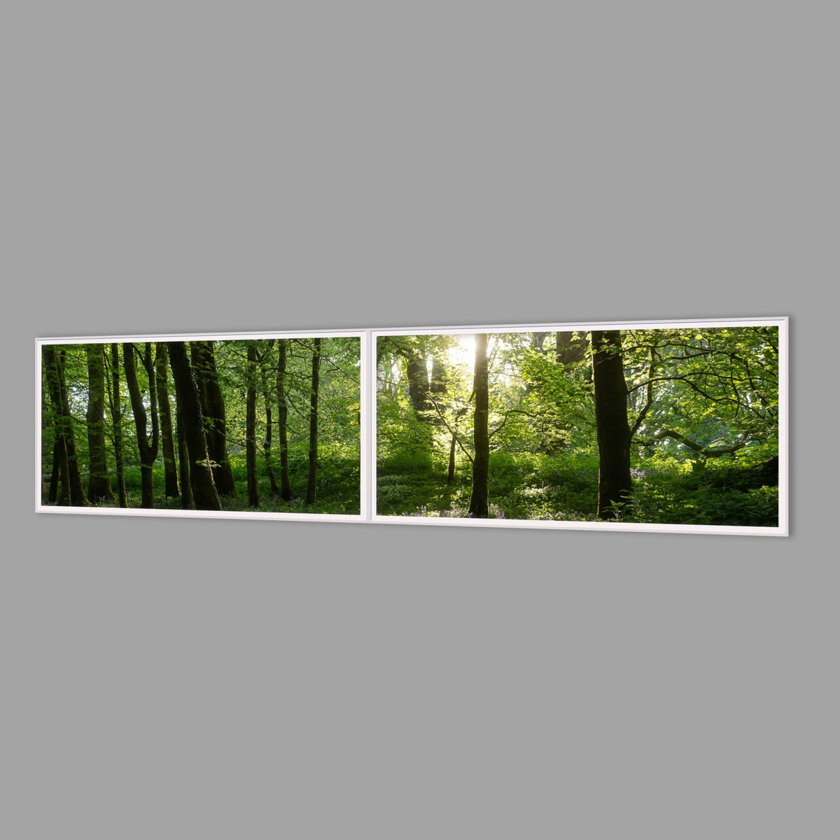 LED-Wandbild Zweiteiler quer 240x60 cm – Wald